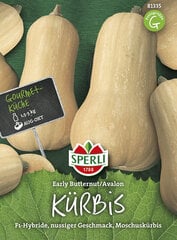 Ароматная тыква Early Butter Nut F1 цена и информация | Семена овощей, ягод | pigu.lt