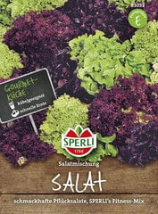 Sėjamosios salotos, mišinys kaina ir informacija | Daržovių, uogų sėklos | pigu.lt