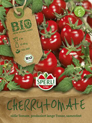 Пищевые помидоры Zuckertraube BIO цена и информация | Семена овощей, ягод | pigu.lt