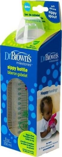 Maitinimo buteliukas Dr. Brown's Flamingo SB81094, 6+ mėn, 250 ml kaina ir informacija | Buteliukai kūdikiams ir jų priedai | pigu.lt