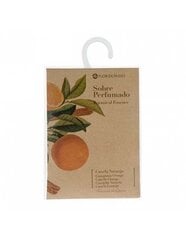 Namų kvapas La Casa De Los Aromas Cinnamon-Orange Botanical Essence, 100 ml kaina ir informacija | Namų kvapai | pigu.lt