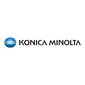 Konica Minolta TN-619 A3VX453 kaina ir informacija | Kasetės lazeriniams spausdintuvams | pigu.lt