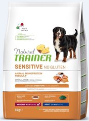 Natural Trainer Sensitive No Gluten vidutinių ir didelių veislių šunims su lašiša 3kg kaina ir informacija | Sausas maistas šunims | pigu.lt