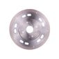 Deimantinis diskas keramikai, akmens masei Distar Esthete 125x1.1x8x22.23 цена и информация | Mechaniniai įrankiai | pigu.lt