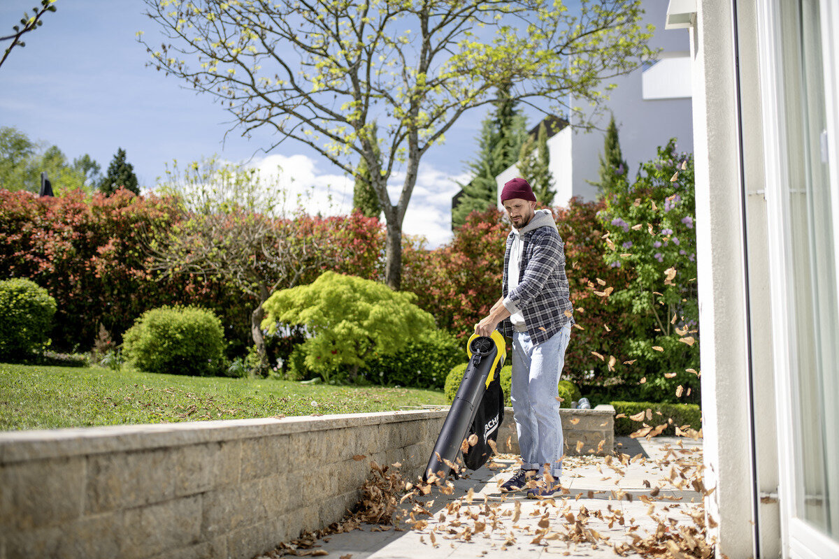 Lapų pūstuvas/siurblys Karcher BLV 36-240 Battery цена и информация | Lapų siurbliai, šakų smulkintuvai, trinkelių valytuvai | pigu.lt