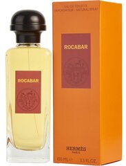 Туалетная вода Hermes Rocabar EDT для мужчин 100 мл цена и информация | Мужские духи | pigu.lt