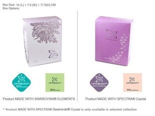 Сувенир "Тюльпан в горшке" с кристаллами SWAROVSKI цена и информация | Детали интерьера | pigu.lt