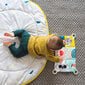 Lavinamasis kilimėlis Taf Toys All Around Me kaina ir informacija | Lavinimo kilimėliai | pigu.lt