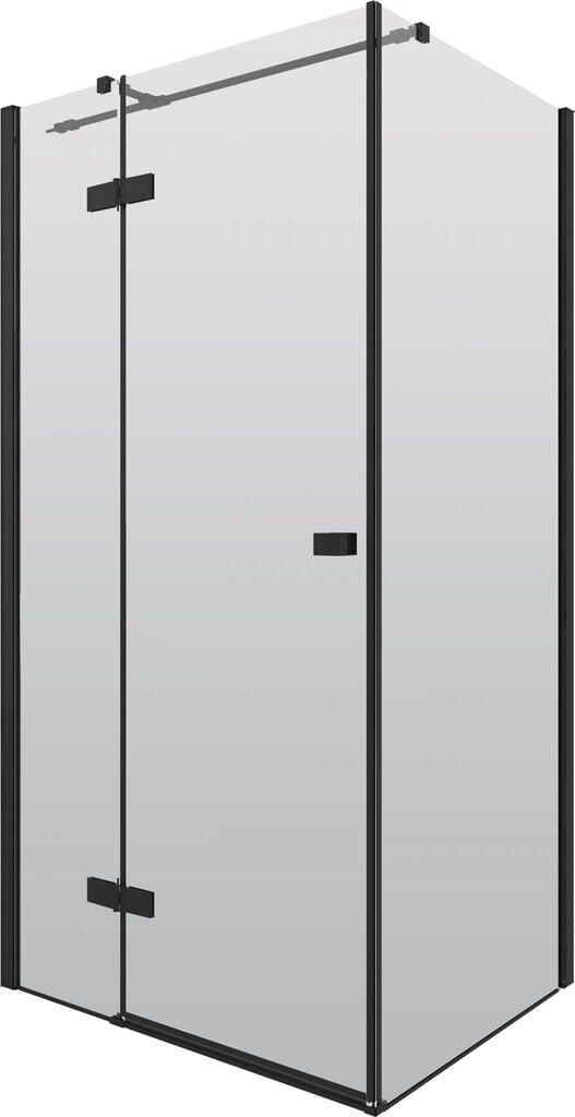 Deante dušo kabina Arnika 80, 90x100cm, black mat kaina ir informacija | Dušo kabinos | pigu.lt