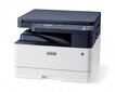 Xerox B1022V_B, A3, nespalvotas kaina ir informacija | Spausdintuvai | pigu.lt