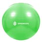 Gimnastikos kamuolys Springos 65cm, žalias kaina ir informacija | Gimnastikos kamuoliai | pigu.lt