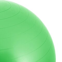 Гимнастический мяч с помпой 65 см. цена и информация | Гимнастические мячи | pigu.lt