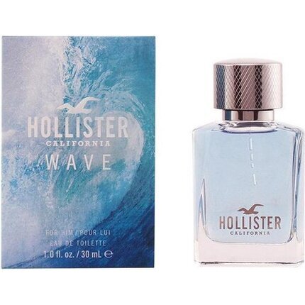 Tualetinis vanduo Hollister Wave For Him EDT vyrams, 100 ml kaina ir informacija | Kvepalai vyrams | pigu.lt