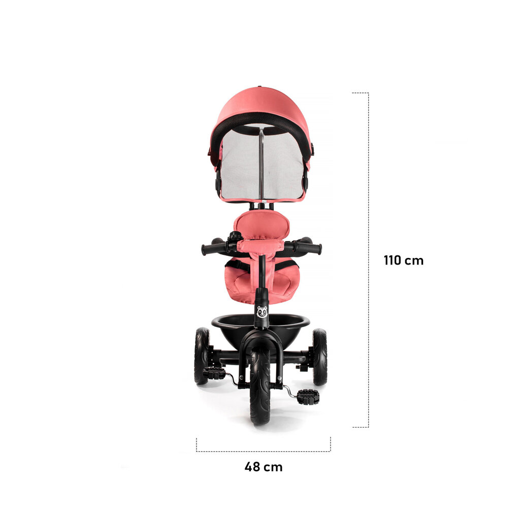 Triratukas su aksesuarais Babytiger FLY, Coral kaina ir informacija | Triratukai | pigu.lt