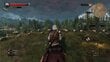 PC Witcher 3: Wild Hunt GOTY Edition цена и информация | Kompiuteriniai žaidimai | pigu.lt