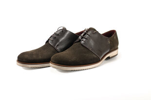 CONHPOL кожаные туфли цена и информация | Мужские ботинки | pigu.lt