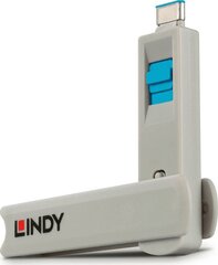 Lindy 40465 цена и информация | Адаптеры, USB-разветвители | pigu.lt