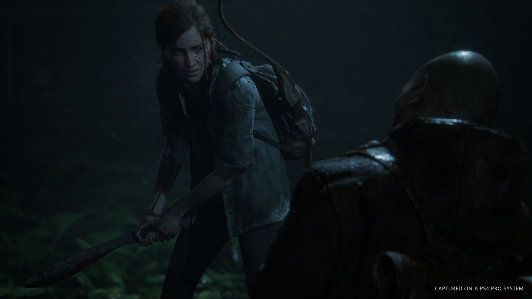 The Last of Us Part II, PS4 kaina ir informacija | Kompiuteriniai žaidimai | pigu.lt