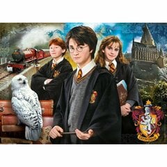 Dėlionė lagaminėlyje 61882 Haris Poteris (Harry Potter), 1000 d. kaina ir informacija | Dėlionės (puzzle) | pigu.lt