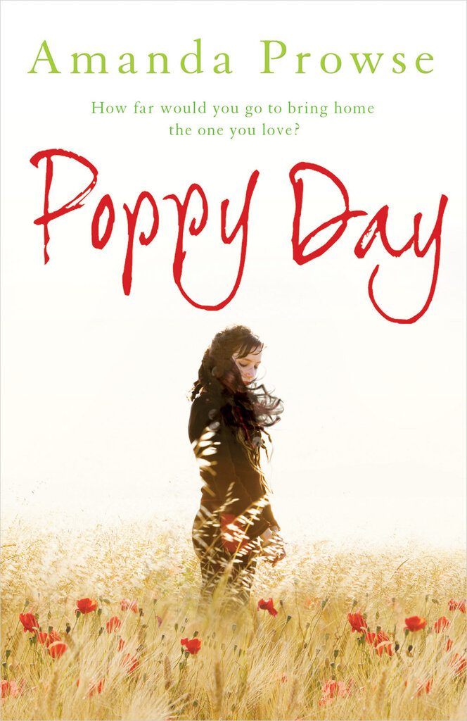 Poppy Day цена и информация | Romanai | pigu.lt