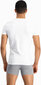 Vyriški apatiniai marškinėliai Puma Basic 2P V-N White kaina ir informacija | Vyriški apatiniai marškinėliai | pigu.lt