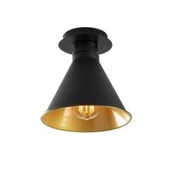 Opviq Alby потолочный светильник Berceste - N-676 цена и информация | Потолочные светильники | pigu.lt