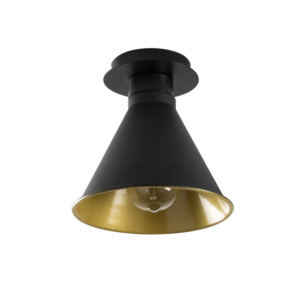 Opviq Alby lubinis šviestuvas Berceste - N-676 kaina ir informacija | Lubiniai šviestuvai | pigu.lt