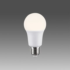 Opviq Led lemputė OP - 008, 10W kaina ir informacija | Elektros lemputės | pigu.lt