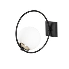 Настенный светильник Opviq Dolunay цена и информация | Настенные светильники | pigu.lt