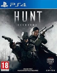 PS4 Hunt: Showdown цена и информация | Компьютерные игры | pigu.lt