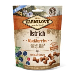 Carnilove Dog skanėstas Ostrich with Blackberries, 200 g kaina ir informacija | Skanėstai šunims | pigu.lt