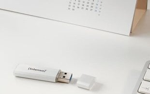 Intenso Alu Line USB 2.0 32GB kaina ir informacija | USB laikmenos | pigu.lt