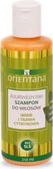 Ajurvedinis šampūnas Orientana imbieras ir citrinžolė, 210 ml kaina ir informacija | Orientana Kvepalai, kosmetika | pigu.lt