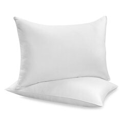 Užvalkalas pagalvei kaina ir informacija | Dekoratyvinės pagalvėlės ir užvalkalai | pigu.lt