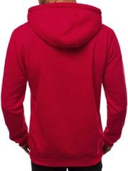Džemperis su gobtuvu vyrams Buvoli, raudonas kaina ir informacija | Džemperiai vyrams | pigu.lt