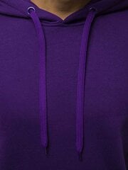 Violetinės spalvos vyriškas džemperis su gobtuvu "Buvoli" kaina ir informacija | Džemperiai vyrams | pigu.lt