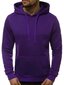 Violetinės spalvos vyriškas džemperis su gobtuvu Buvoli kaina ir informacija | Džemperiai vyrams | pigu.lt
