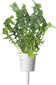 Click & Grow PPMSAX9 цена и информация | Daigyklos, lempos augalams | pigu.lt