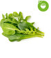 Click & Grow PPMSAX9 kaina ir informacija | Daigyklos, lempos augalams | pigu.lt