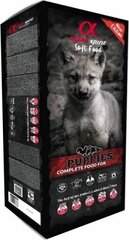 Alpha Spirit Puppies влажный мультикорм для щенков, 9кг цена и информация |  Сухой корм для собак | pigu.lt