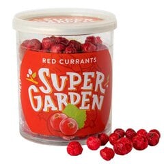 Džiovinti šaltyje raudonieji serbentai, 20 g. kaina ir informacija | Riešutai, sėklos, džiovinti vaisiai | pigu.lt