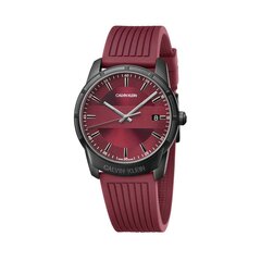 Vyriškas laikrodis Calvin Klein 17114 kaina ir informacija | Vyriški laikrodžiai | pigu.lt