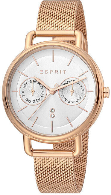 Moteriškas laikrodis Esprit Ellen ES1L179M0095 цена и информация | Moteriški laikrodžiai | pigu.lt