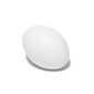 Gelinis veido šveitiklis Holika Holika Smooth Egg Skin, 140 ml цена и информация | Veido prausikliai, valikliai | pigu.lt