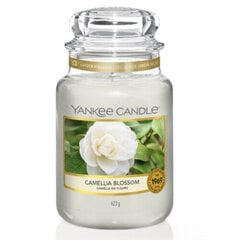 Ароматическая свеча Yankee Candle Camellia Blossom, 623 г цена и информация | Подсвечники, свечи | pigu.lt