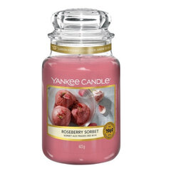 Kvepianti žvakė Yankee Candle Roseberry Sorbet Candle - Scented candle 623.0g kaina ir informacija | Žvakės, Žvakidės | pigu.lt