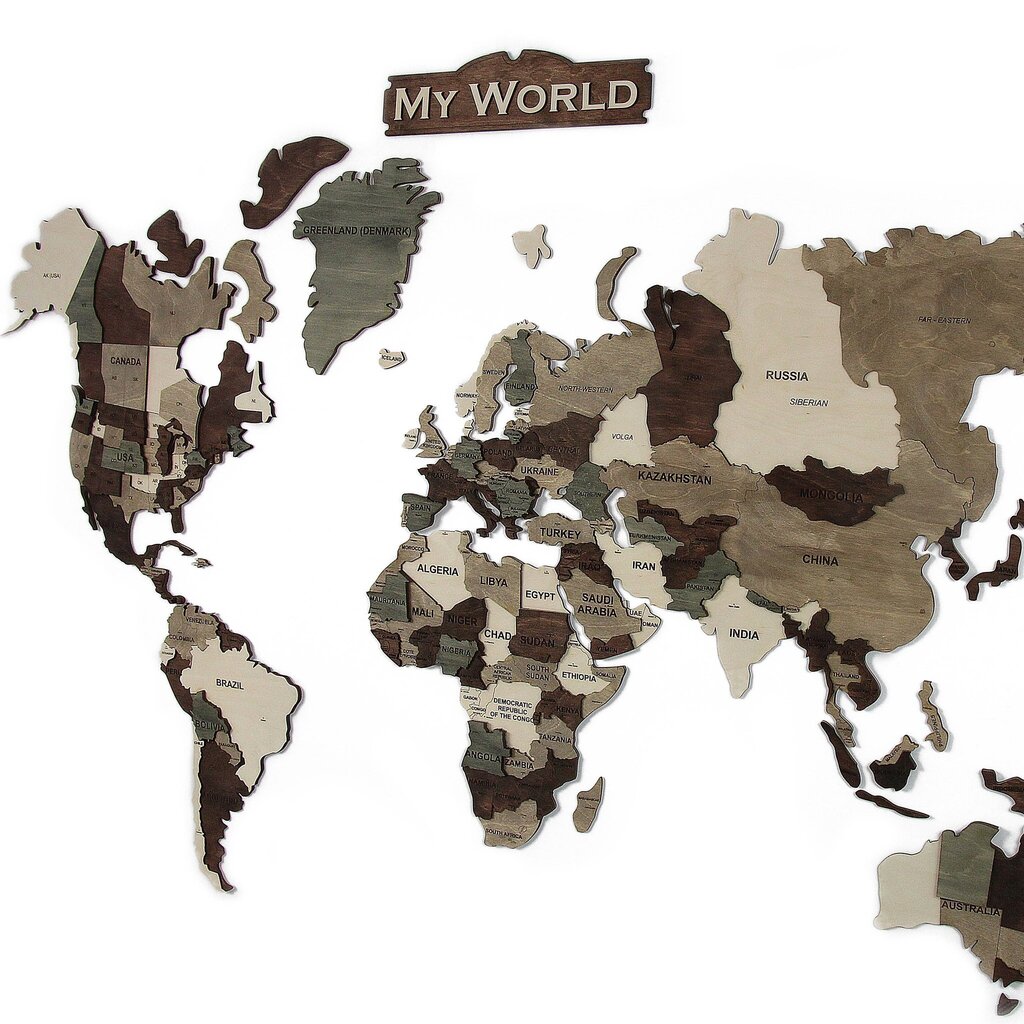 Medinis pasaulio žemėlapis, pilkas kaina ir informacija | Reprodukcijos, paveikslai | pigu.lt