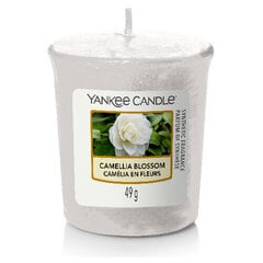 Kvapioji žvakė Yankee Candle Camellia Blossom 49 g kaina ir informacija | Žvakės, Žvakidės | pigu.lt