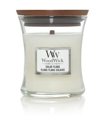 WoodWick kvapioji žvakė Solar Ylang, 85 g kaina ir informacija | Žvakės, Žvakidės | pigu.lt