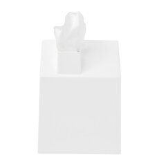 Umbra plastikinė nosinių dėžutė, 17x13x13 cm, balta kaina ir informacija | Interjero detalės | pigu.lt